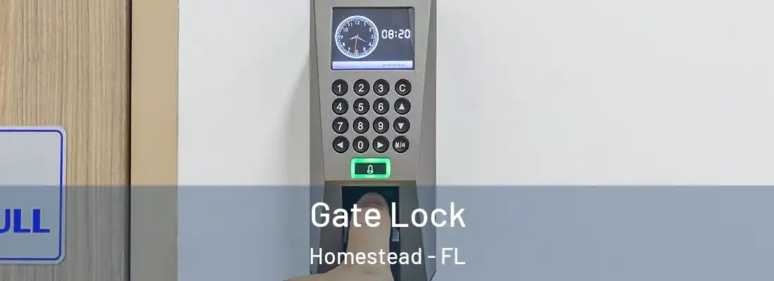 Gate Lock Homestead - FL