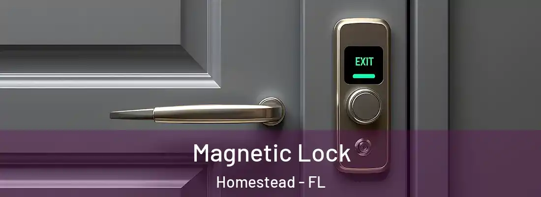  Magnetic Lock Homestead - FL