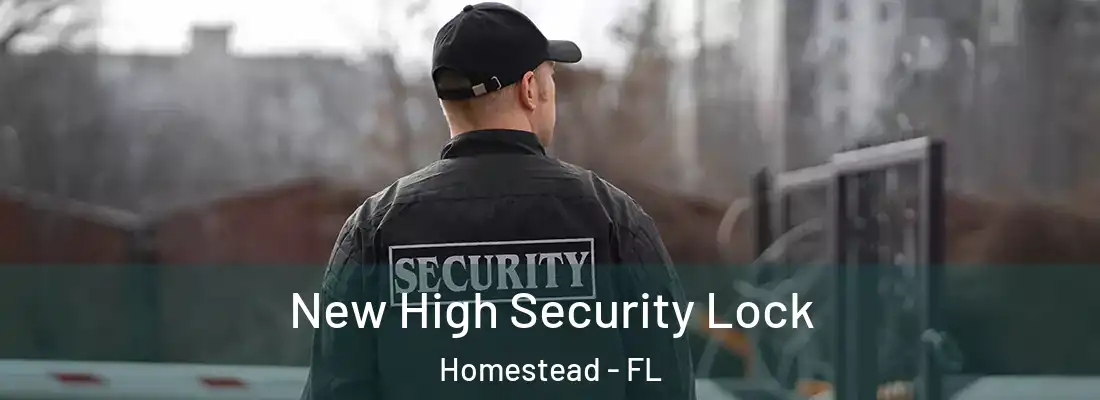 New High Security Lock Homestead - FL