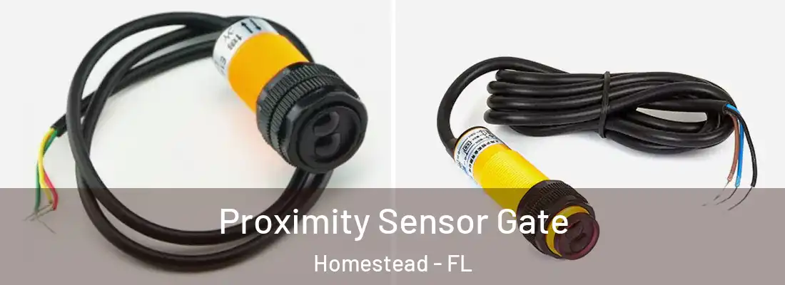 Proximity Sensor Gate Homestead - FL